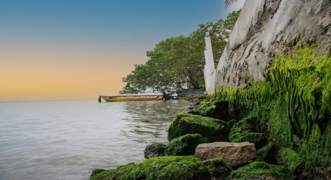 Hiru Lagoon Negombo Ngoại thất bức ảnh